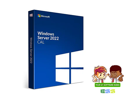 Microsoft Windows Server 2022 Remote Desktop Services (RDS) 1 User CAL