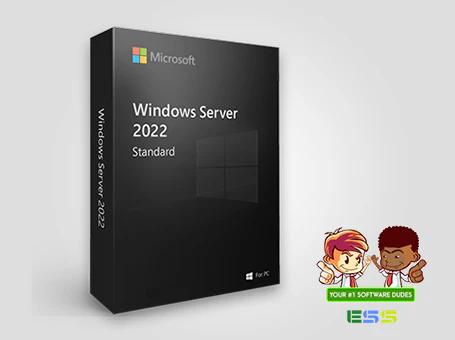 Microsoft Windows Server 2022 Standard 16 Core License - Retail Download (P73-08328)